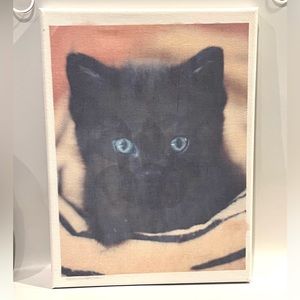 “Black kitten” canvas sign.